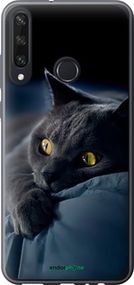 Чохол на Huawei Y6p Димчастий кіт "825t-1952-2448"