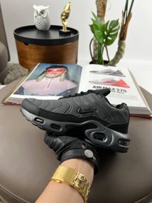 Кроссовки Air Max Tn Plus Greh весна / лето / осень В3331 38 24