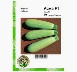 Кабачок Асма F1 10 насінин Агропакгруп