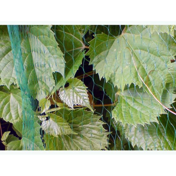 Сітка для захисту від птахів Bradas BIRD NET 7 г/м² 8x8 м AS-BN71919808 | Зображення 1