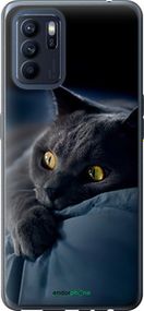 Чохол на Oppo Reno6 Z Димчастий кіт "825u-2477-2448"