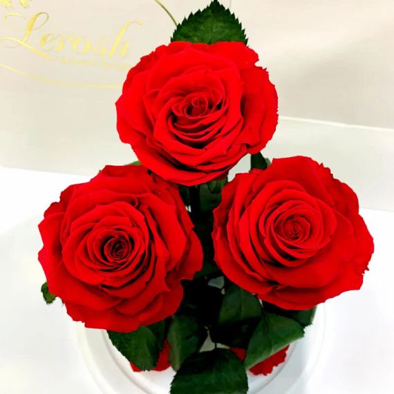 Троянди в колбі для декору, Декоративні троянди в скляній колбі   знижка | Зображення 3