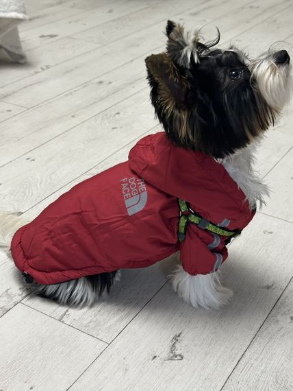 Водонепроницаемая спортивная куртка для собак с капюшоном The dog face Красный М (121) | Зображення 5