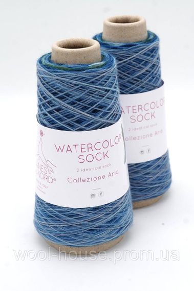 Шкарпеткова пряжа Laines du Nord Watercolor Sock, 101 | Зображення 1