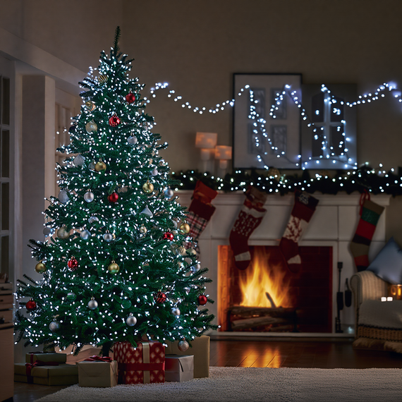 Гірлянда Нитка вулична 30 (м) 300 LED чорний провід Білий CF300L30MBW | Зображення 1