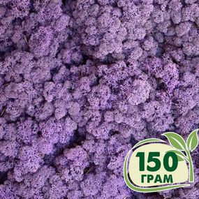 Стабілізований мох ягель Еріка 150 грам