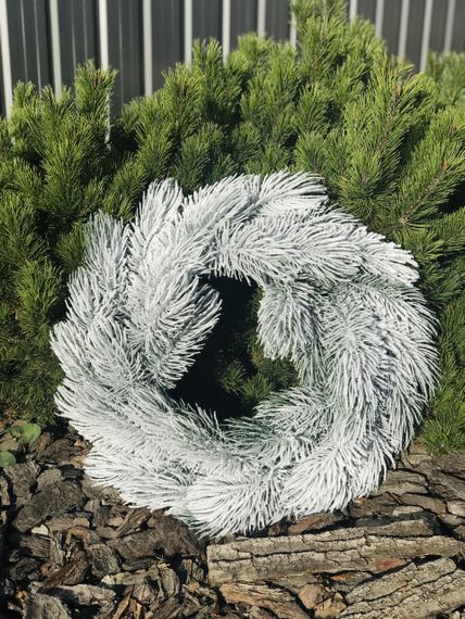 Вінок хвойний Сосна литий d-60 см засніжений | Зображення 9