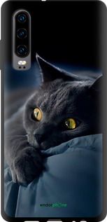 Чохол на Huawei P30 Димчастий кіт "825b-1622-2448"