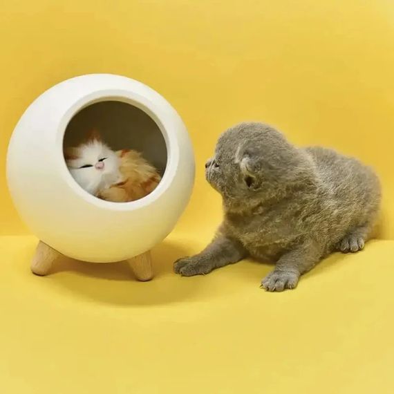 Світильник-нічник з регулюванням яскравості та кольору XPRO Cat House (234575391_422) | Зображення 5