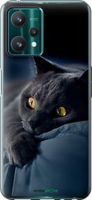 Чохол на Realme 9 Pro Димчастий кіт "825u-2595-2448"