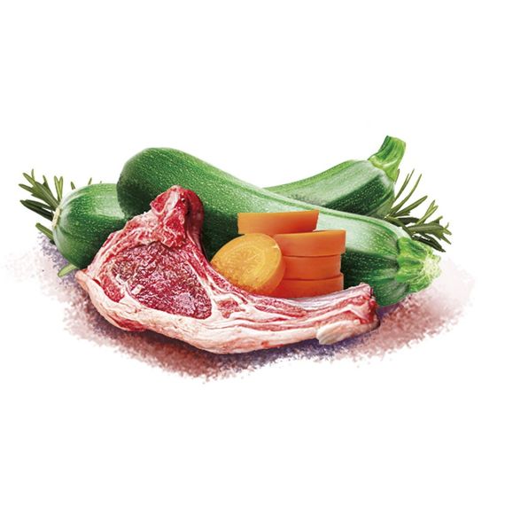 Корм вологий Brit Mono Protein Christmas Lamb д/собак різдвяна вечеря ягня 400 г | Зображення 1