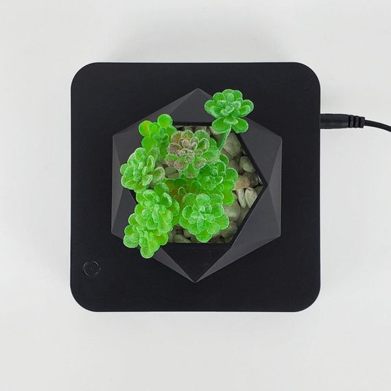 Магнітний левітаційний горщик для рослин HCNT Magnetic Levitating Pot M10-GW4 Black | Зображення 2