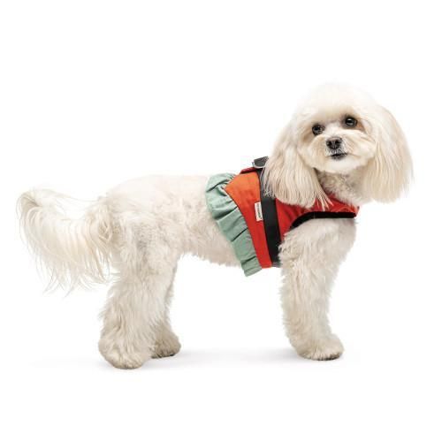 Шлея Monika ТМ Pet Fashion для собак XS2 червона | Зображення 2