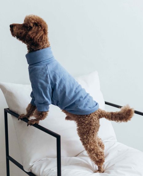 Гольф небесний Y-318