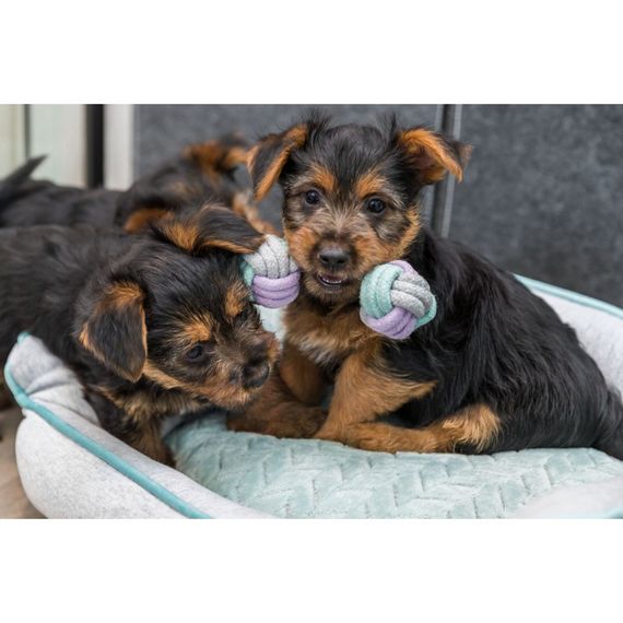 Іграшка Trixie Junior Rope Dumbbell для цуценят Гантель з канатом котон 15 см | Зображення 3