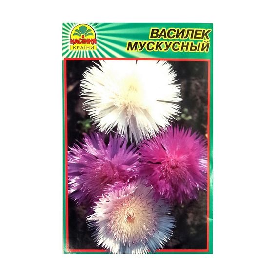 Насіння Волошка мускусна 0,5 г (Насіння країни)