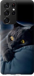 Чехол на Samsung Galaxy S21 Ultra (5G) Дымчатый кот из пластика FCh_032210