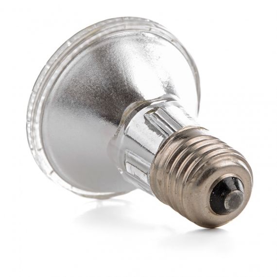 Светодиодная лампа PAR20 2W/230V E27 LED BLUE Br 220V | Зображення 2