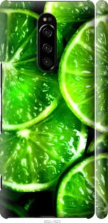Чохол на Sony Xperia XZ4 Зелені часточки лимона "852m-1623-2448"