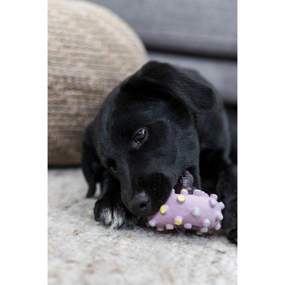 Іграшка Trixie для цуценят Кільце Junior латекс 8 см | Зображення 9