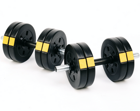 Гантели разборные Besport PowerPro 2х11кг