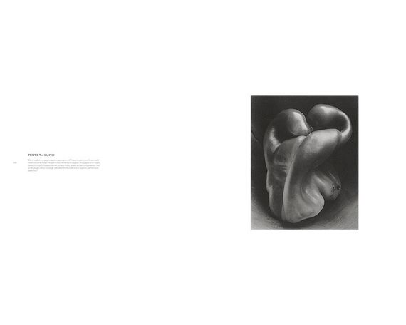 Альбоми відомих фотографів книга робіт Едварда Вестона Edward Weston: One Hundred Twenty-five Photographs | Зображення 4