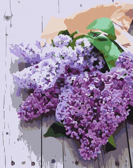 Картина за номерами "Дихання весни" 40х50 см 13111-AC