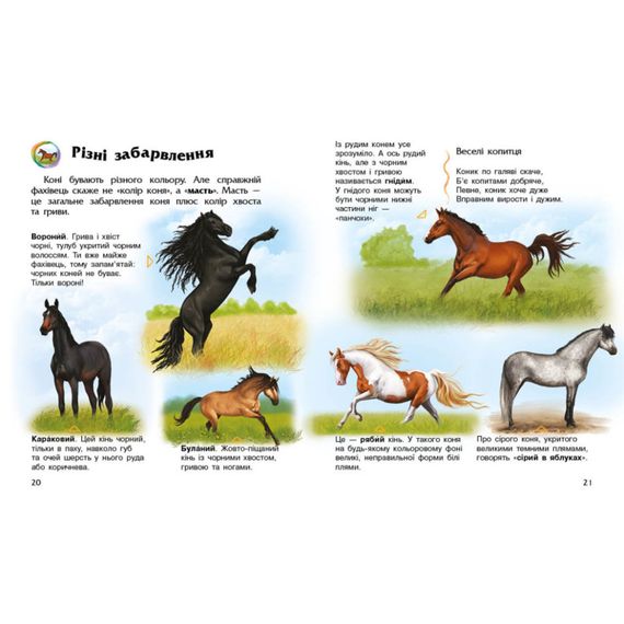 Енциклопедія дошкільника Коні 614037 для найменших | Зображення 2