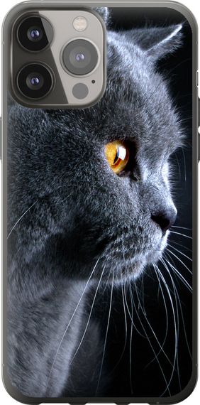 Чехол на iPhone 13 Pro Max Красивый кот "3038u-2371-17620"