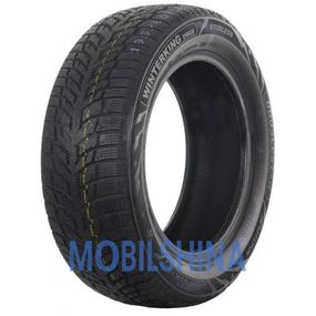 Зимние шины DOUBLESTAR WINTERKING DW08 (225/55R16 95H)