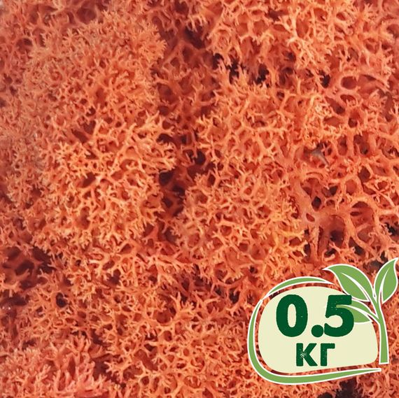 Стабилизированный мох ягель Nordic moss Сиена 0,5 кг