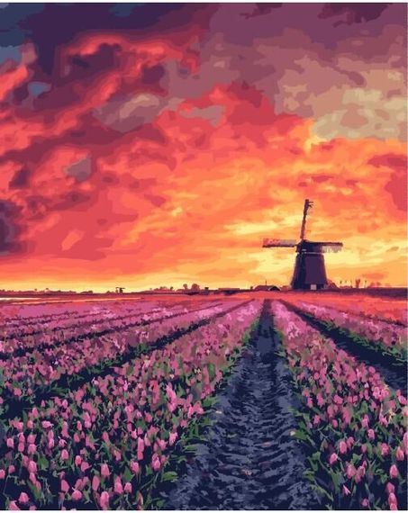 Закат над полем Амстердама