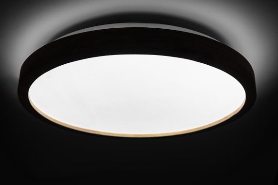 WOOD матовий 60W 375*60мм 3000К-6500К з ДК акація | Зображення 3