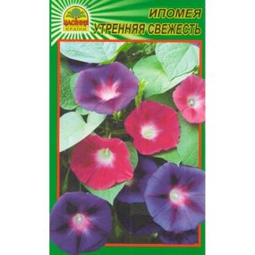 Насіння Іпомея ранкова свіжість 0,5 г (Насіння країни)