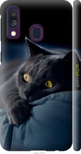 Чохол на Samsung Galaxy A40 2019 A405F Димчастий кіт "825m-1672-2448"