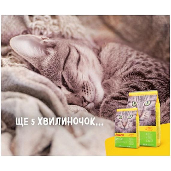 Сухий корм для котів Josera SensiCat із чутливим травленням 10 кг (4032254749219) | Зображення 1