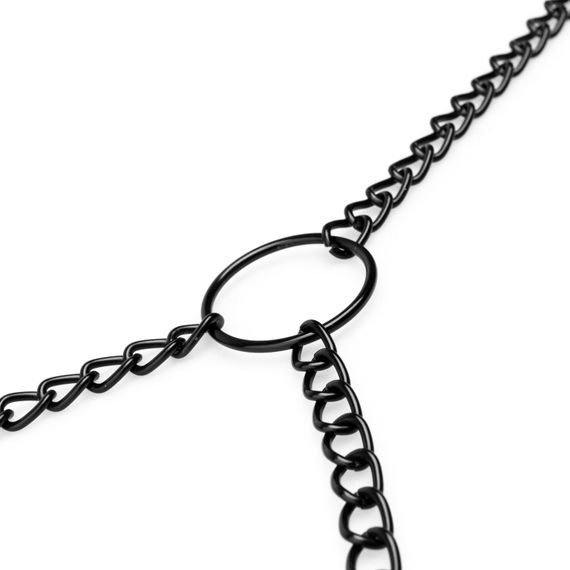 Затискачі для сосків та клітора Bedroom Fantasies: Nipple & Clitoral Clamps, чорні | Зображення 2