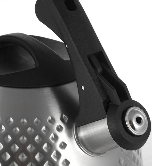 Чайник Ofenbach Whistling Kettle 2.7л нержавіюча сталь зі свистком | Зображення 2