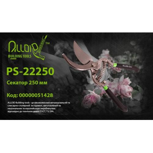 Секатор 250 мм (PS-22250) Alloid | Зображення 1