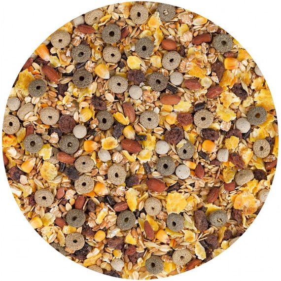 Корм для пацюків Vitakraft Premium Menu Vital, 800 гр | Зображення 1