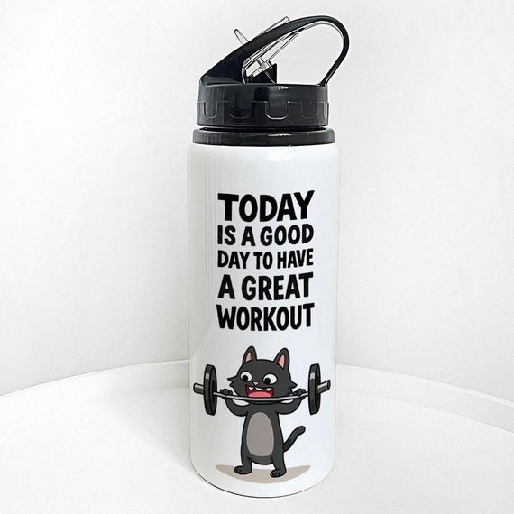 Пляшка для води з трубочкою Today is a good day to have a great workout 600 мл (PLV_25A043)