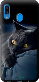Чохол на Samsung Galaxy A30 2019 A305F Димчастий кіт "825b-1670-2448"