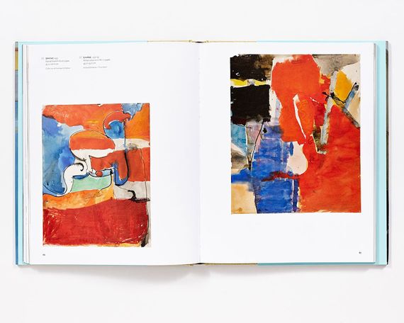 Книга про художника Річард Дібенкорн. Richard Diebenkorn живопис книги з історії мистецтва | Зображення 5