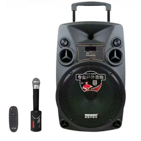 Портативная акустическая система TEMEISHENG SL12-14 12" с микрофоном и Bluetooth