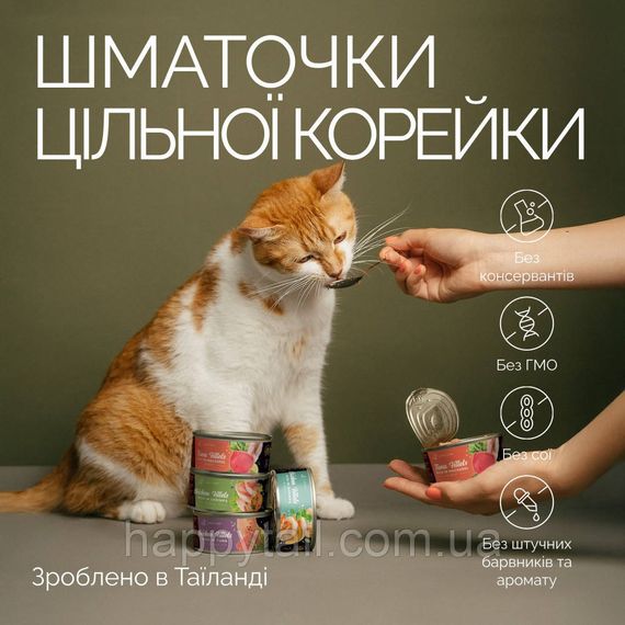 Корм вологий Savory Tuna Fillets rich in Mackerel in Jelly for Adult Cats філе тунця з макреллю в желе для дорослих котів, 7 | Зображення 3