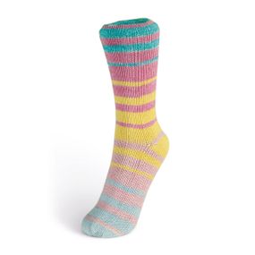 Бавовняна шкарпеткова пряжа Laines du Nord Summer Sock, 106