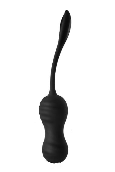 Віброяйце з пультом керування Dream Toys DARK DESIRES VIRGINIA | Зображення 2