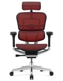 Кресло компьютерное ERGOHUMAN LUXURY 2 (EHL2-AB-HAM-5D-E-L) сетка Т-168-B3 SCARLET