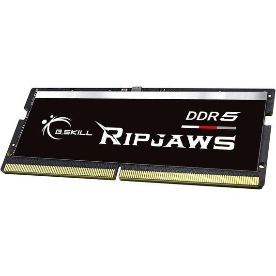 Модуль пам'яті для ноутбука SoDIMM DDR5 16GB 4800 MHz Ripjaws G.Skill (F5-4800S4039A16GX1-RS) | Зображення 1