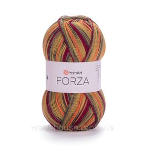 Шкарпеткова пряжа YarnArt Forza, 2509